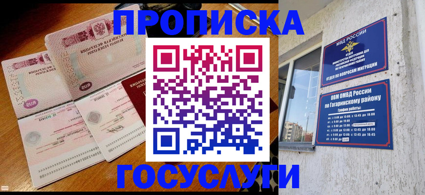 где прописаться в Каменке